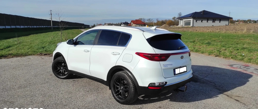 Kia Sportage cena 78000 przebieg: 168000, rok produkcji 2019 z Kielce małe 121